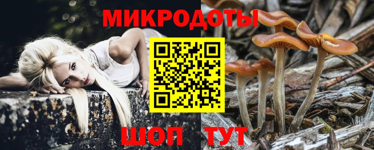 где продают наркотики  Псилоцибиновые грибы Cubensis  Вход с VPN  Ипатово  Псилоцибиновые грибы Cubensis 